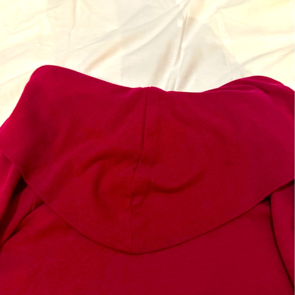 Wine colored turtle neck sweater